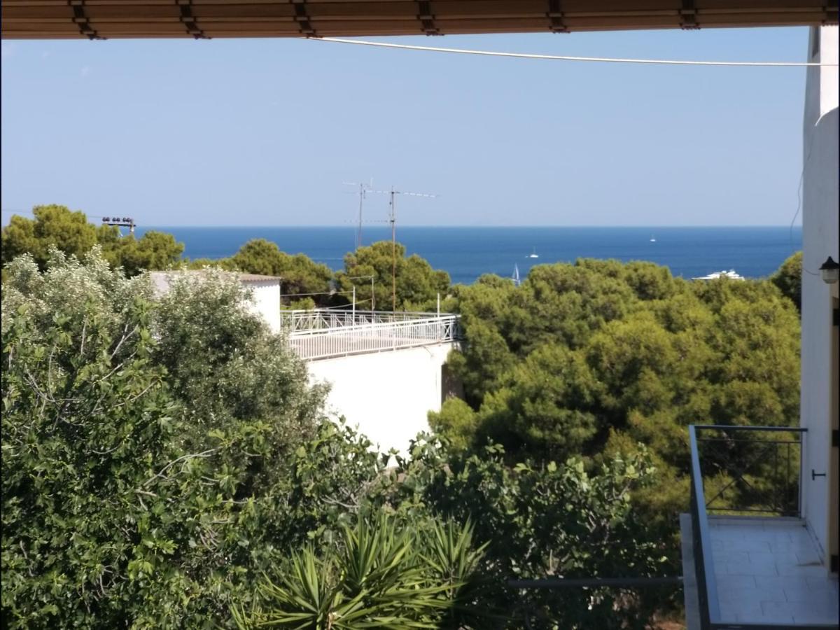 Aelia Houses Agia Marina  Экстерьер фото